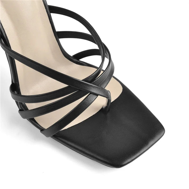 BLACK DYNASTY HEEL